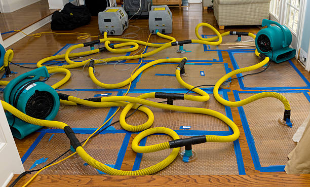 Professional Sewage Cleanup technician working in Creola, AL