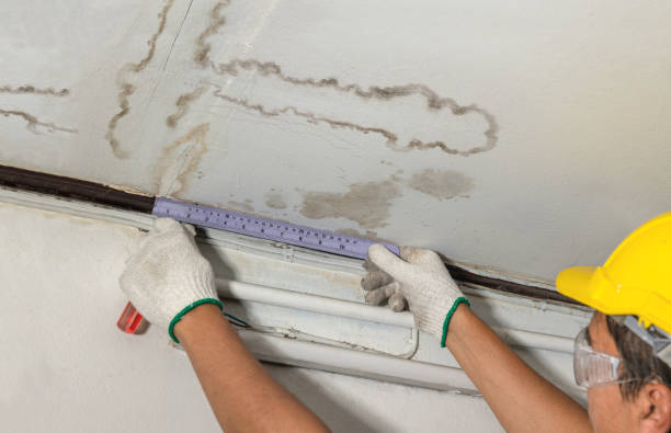 Affordable Water Damage Repair solutions in Creola, AL